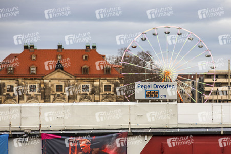 Elbe-Hochwasser in Dresden