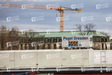 Elbe-Hochwasser in Dresden