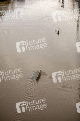 Elbe-Hochwasser in Dresden