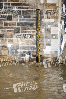Elbe-Hochwasser in Dresden