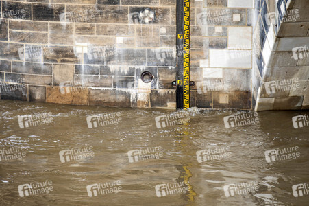 Elbe-Hochwasser in Dresden