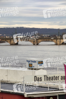 Elbe-Hochwasser in Dresden