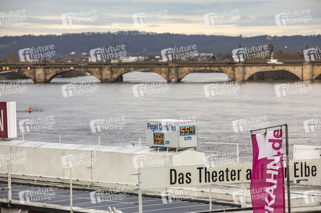 Elbe-Hochwasser in Dresden