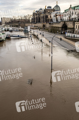 Elbe-Hochwasser in Dresden