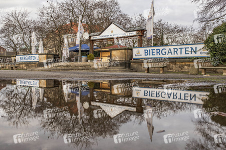 Elbe-Hochwasser in Dresden