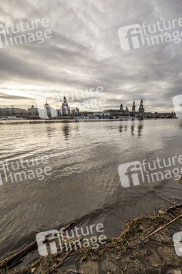 Elbe-Hochwasser in Dresden