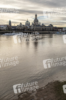 Elbe-Hochwasser in Dresden