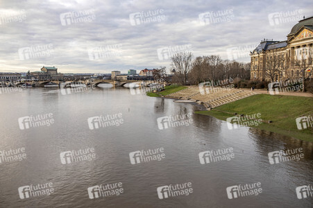 Elbe-Hochwasser in Dresden