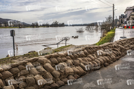Elbe-Hochwasser in Dresden