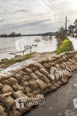 Elbe-Hochwasser in Dresden