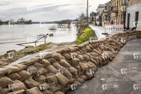 Elbe-Hochwasser in Dresden