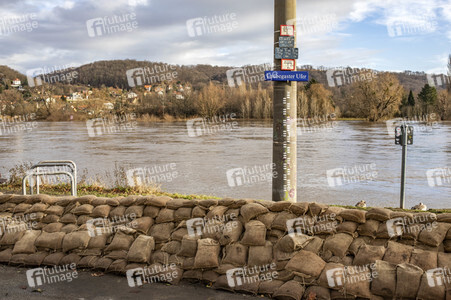 Elbe-Hochwasser in Dresden