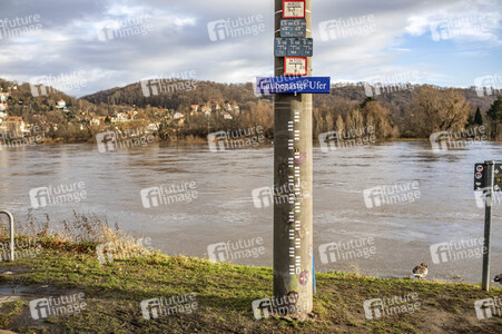 Elbe-Hochwasser in Dresden