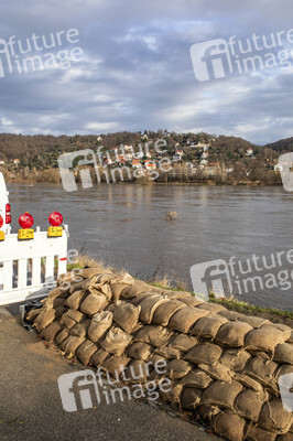 Elbe-Hochwasser in Dresden