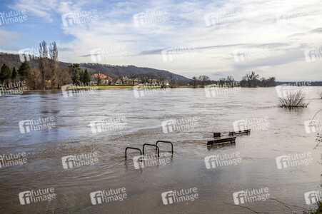 Elbe-Hochwasser in Dresden