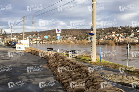 Elbe-Hochwasser in Dresden