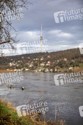 Elbe-Hochwasser in Dresden