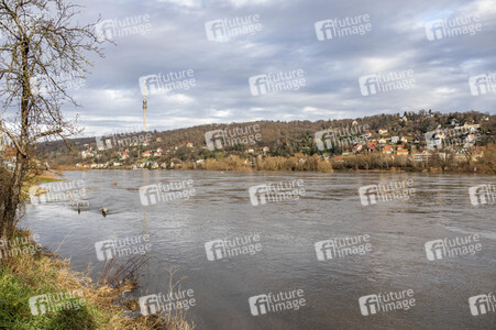 Elbe-Hochwasser in Dresden