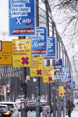 Wahlplakate zur teilweisen Wiederholungswahl in Berlin