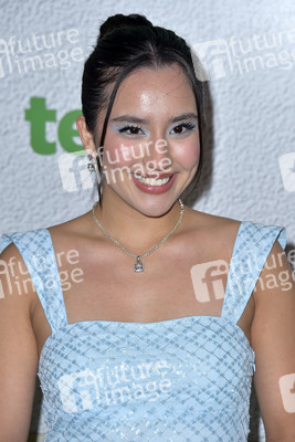 Serienpremiere 'Ted' in Los Angeles