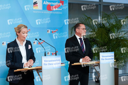 Fraktionssitzung der AfD-Bundestagsfraktion in Berlin