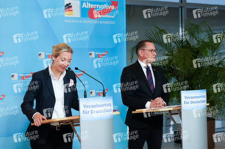 Fraktionssitzung der AfD-Bundestagsfraktion in Berlin