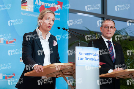 Fraktionssitzung der AfD-Bundestagsfraktion in Berlin
