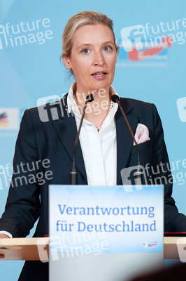 Fraktionssitzung der AfD-Bundestagsfraktion in Berlin