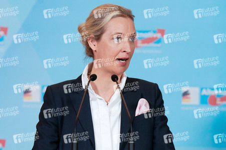 Fraktionssitzung der AfD-Bundestagsfraktion in Berlin