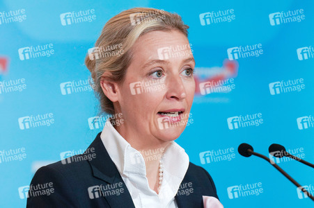 Fraktionssitzung der AfD-Bundestagsfraktion in Berlin