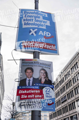 Wahlplakate zur teilweisen Wiederholungswahl in Berlin