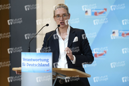Fraktionssitzung der AfD-Bundestagsfraktion in Berlin