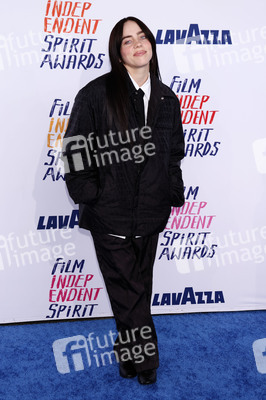 Film Independent Spirit Awards 2024 in Santa Monica