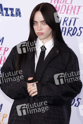 Film Independent Spirit Awards 2024 in Santa Monica