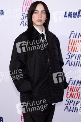 Film Independent Spirit Awards 2024 in Santa Monica