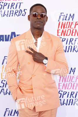 Film Independent Spirit Awards 2024 in Santa Monica
