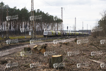 Tesla Gigafactory 4 in Grünheide