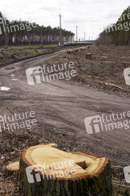 Tesla Gigafactory 4 in Grünheide
