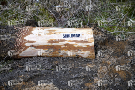 Protestcamp gegen die Erweiterungspläne des Tesla-Werks in Grünheide