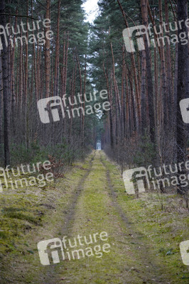 Protestcamp gegen die Erweiterungspläne des Tesla-Werks in Grünheide