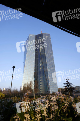 Die Europäische Zentralbank in Frankfurt
