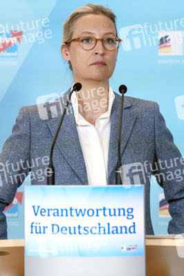 Fraktionssitzung der AfD-Bundestagsfraktion in Berlin