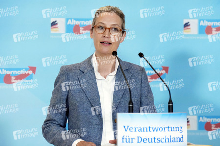 Fraktionssitzung der AfD-Bundestagsfraktion in Berlin