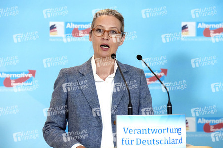 Fraktionssitzung der AfD-Bundestagsfraktion in Berlin