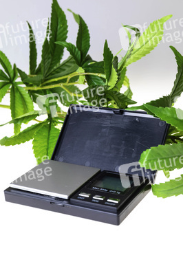 Symbolfoto Cannabis-Legalisierung
