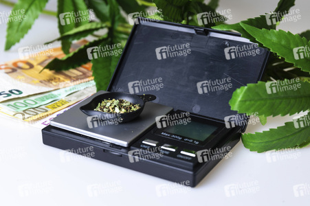 Symbolfoto Cannabis-Legalisierung