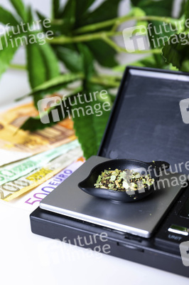 Symbolfoto Cannabis-Legalisierung