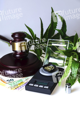 Symbolfoto Cannabis-Legalisierung