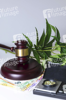 Symbolfoto Cannabis-Legalisierung