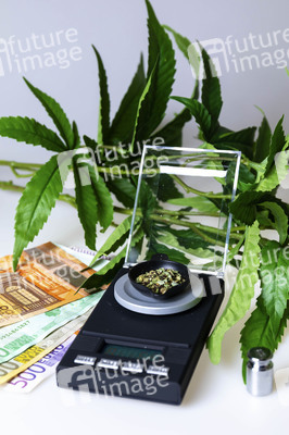 Symbolfoto Cannabis-Legalisierung